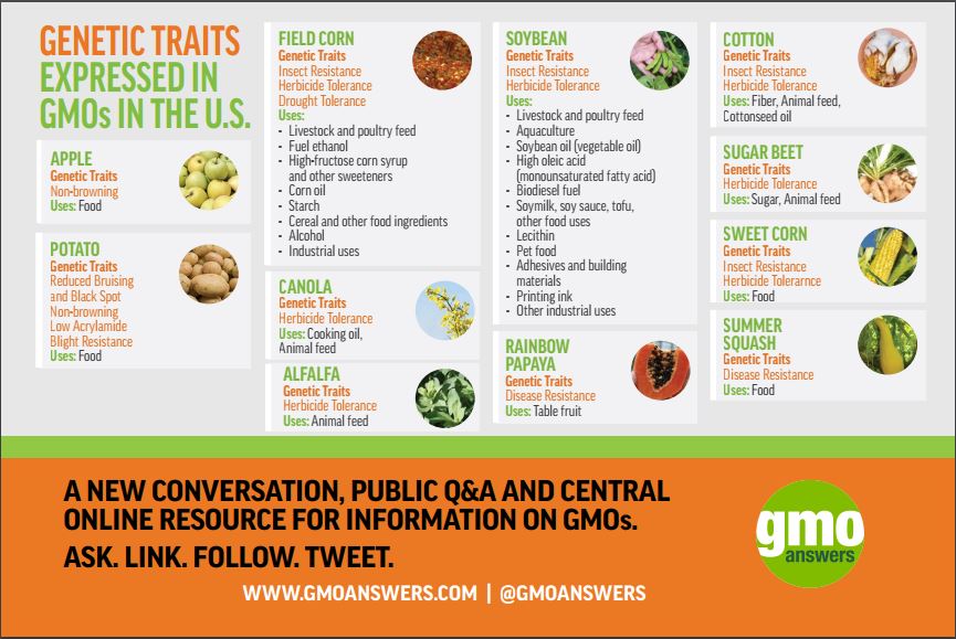 Beyond Labels 10 Things You Should Know About GMOs GMO Answers
